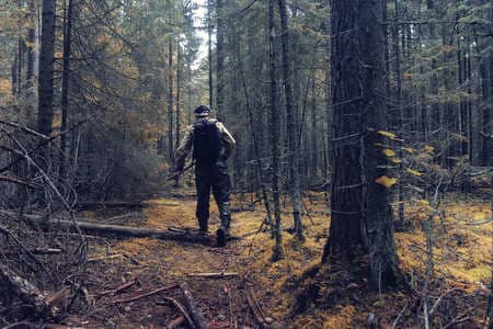 Купить диплом Егеря, лесника в Петрозаводске